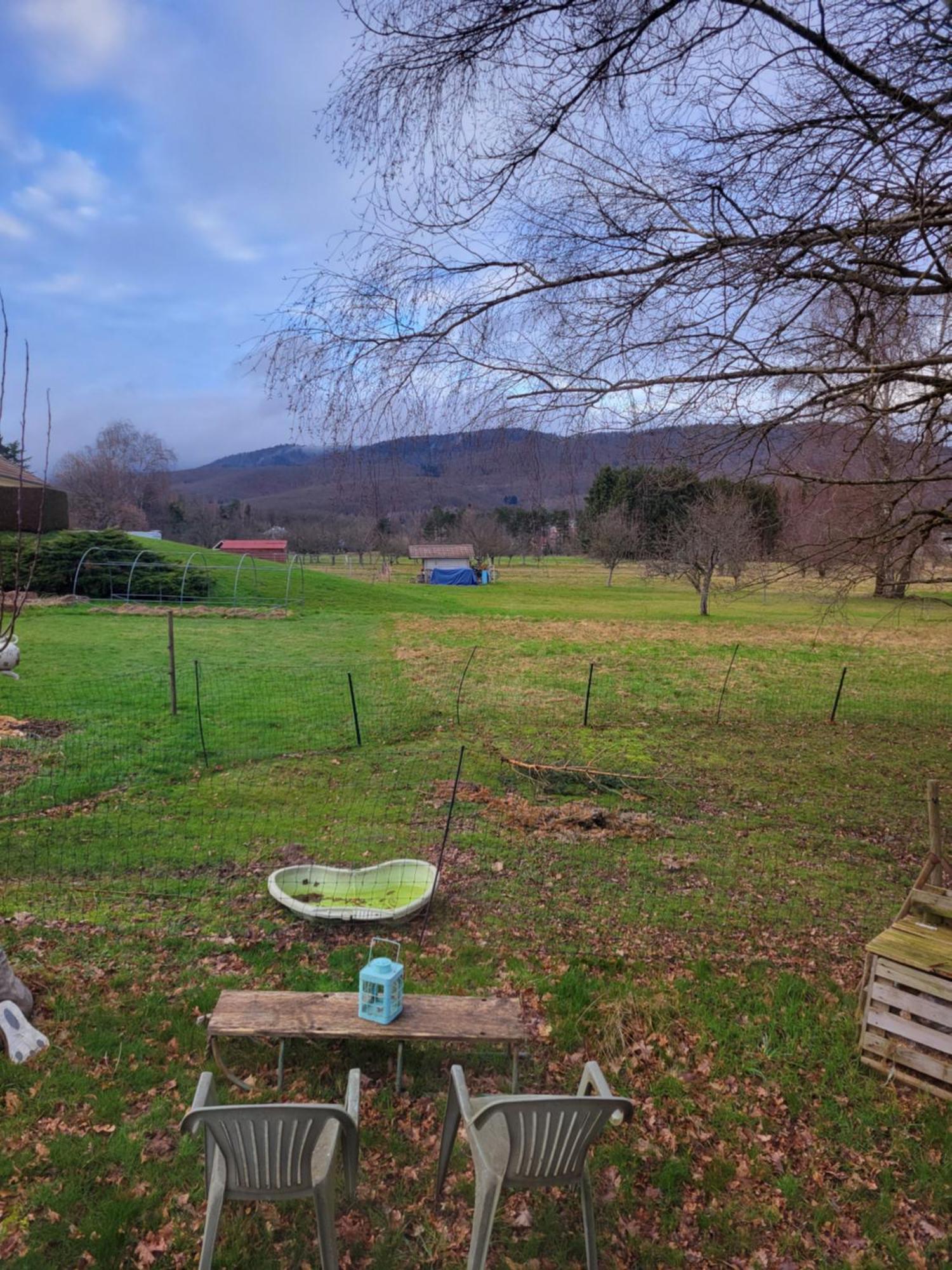La Roulotte Tiny House Du Mond'Ideal Leval  Rom bilde